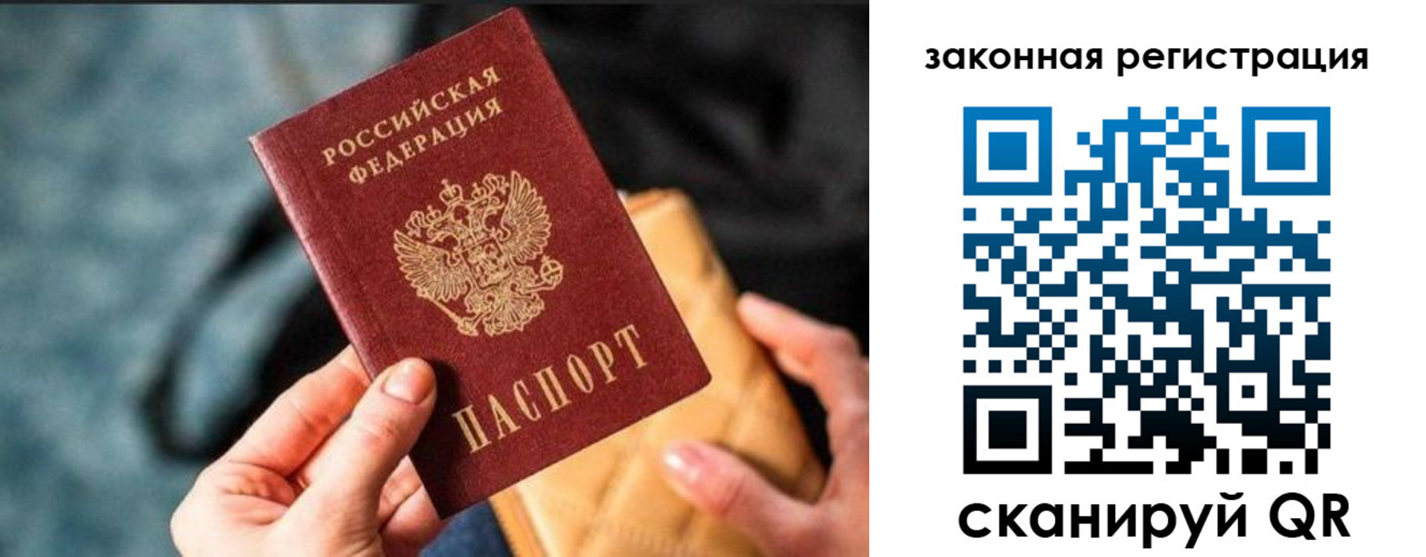 прописка 2025 в Жуковском